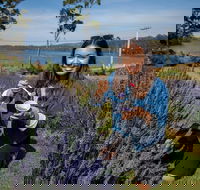 Port Arthur and Lavender Farm Active Day Tour - Accommodation Mooloolaba