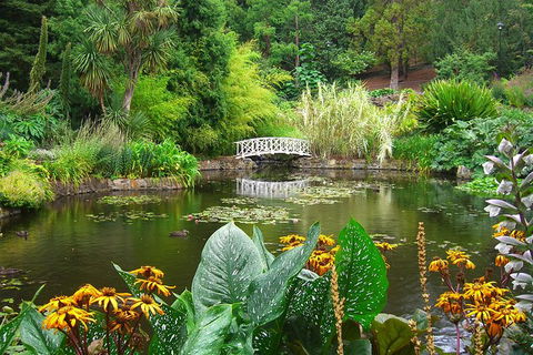 Hobart City Sightseeing Tour Including MONA Admission - Accommodation Mooloolaba 7