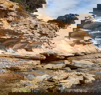 Maria Island premium private photo-oriented day tour from Hobart - Accommodation Mooloolaba