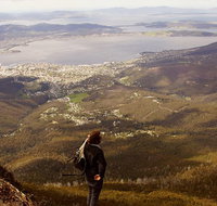 Mt Wellington Half Day Guided Summit Hike - Accommodation Mooloolaba