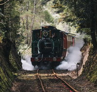 West Coast Wilderness Railway River and Rainforest from Strahan - Accommodation Mooloolaba