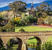 Shore Excursion-Hobart Wanderer - Accommodation Mooloolaba