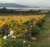 Mona and Wine Experience Tour - Accommodation Mooloolaba