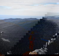Mount Field National Park - Tarn Shelf  Russell Falls - Guided Hiking Tour - Accommodation Mooloolaba
