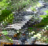 Mt Field National Park and Russell Falls from Hobart - Accommodation Mooloolaba