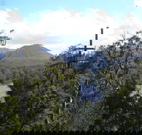 Huon Valley and Tahune Forest Airwalk Tour from Hobart - Accommodation Mooloolaba