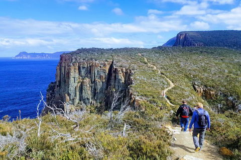 Cape Hauy Hiking Tour - Tasman National Park - Accommodation Mooloolaba 0