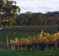 Barossa Valley with Hahndorf Tour from Adelaide