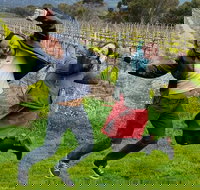 Mclaren Vale Luxury Full Day Small Group Wine Tour - Accommodation Mooloolaba