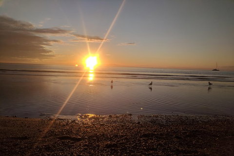 A Taste Of Adelaide And Hahndorf By Car Private Tour. - Accommodation Mooloolaba 1