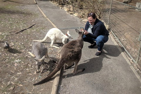 A Taste Of Adelaide And Hahndorf By Car Private Tour. - Accommodation Mooloolaba 8