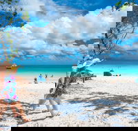 Whitehaven Beach Half-Day Cruises - Accommodation Mooloolaba