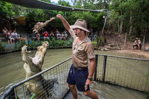 Full-Day Tour With Kuranda Scenic Railway, Skyrail Rainforest Cableway, And Hartley's Crocodile Adventures From Cairns - Accommodation Mooloolaba 1