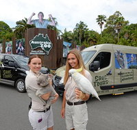 Small-Group Australia Zoo Day Trip from Brisbane - Accommodation Mooloolaba