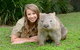 Small-Group Australia Zoo Day Trip From Brisbane - thumb 5