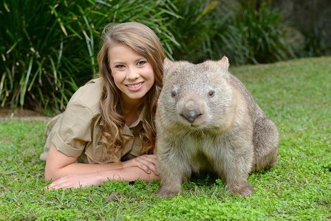 Small-Group Australia Zoo Day Trip From Brisbane - Accommodation Mooloolaba 5