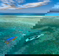 Ocean Safari Great Barrier Reef Experience in Cape Tribulation - Accommodation Mooloolaba