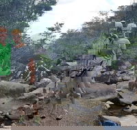 Personalised Private Platypus Land Tour - Accommodation Mooloolaba