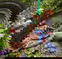 Cape Tribulation Jungle Surfing Canopy Tour - Accommodation Mooloolaba