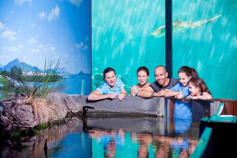 Reef HQ Great Barrier Reef Aquarium General Entry Ticket - Accommodation Mooloolaba 0