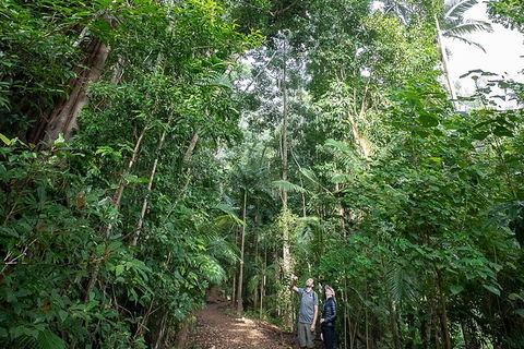 Whitsundays Tropical Rainforest, Waterfalls And Airlie Beach Eco Experience - Accommodation Mooloolaba 1