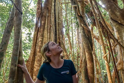 Whitsundays Tropical Rainforest, Waterfalls And Airlie Beach Eco Experience - Accommodation Mooloolaba 14