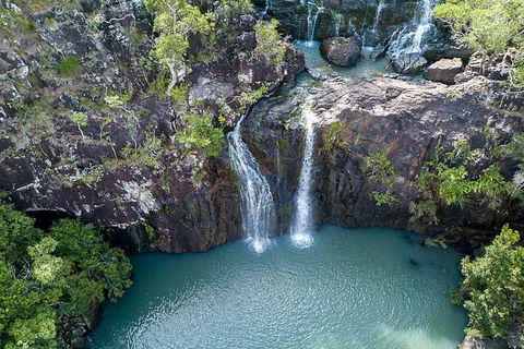 Whitsundays Tropical Rainforest, Waterfalls And Airlie Beach Eco Experience - Accommodation Mooloolaba 13