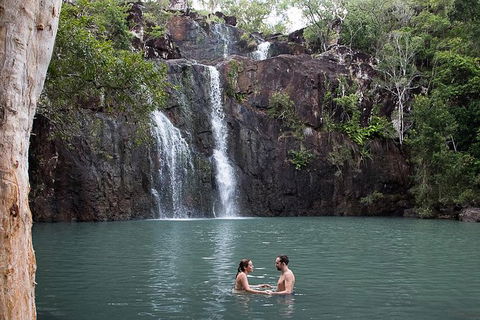 Whitsundays Tropical Rainforest, Waterfalls And Airlie Beach Eco Experience - Accommodation Mooloolaba 10