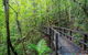 Whitsundays Tropical Rainforest, Waterfalls And Airlie Beach Eco Experience - thumb 3