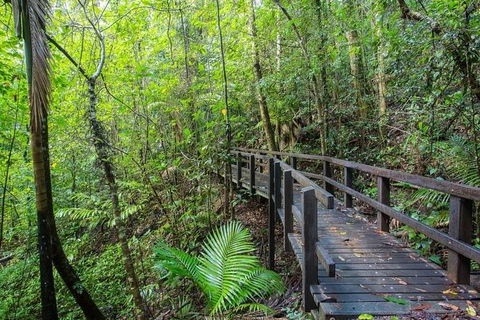 Whitsundays Tropical Rainforest, Waterfalls And Airlie Beach Eco Experience - Accommodation Mooloolaba 3