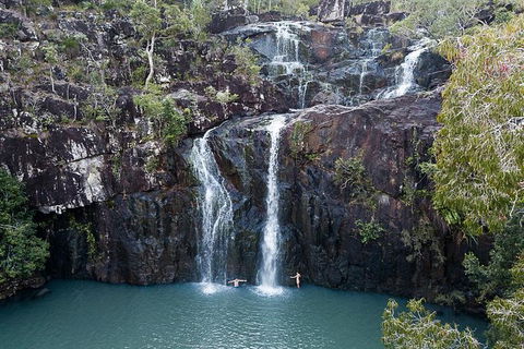 Whitsundays Tropical Rainforest, Waterfalls And Airlie Beach Eco Experience - Accommodation Mooloolaba 9