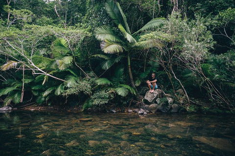 Whitsundays Tropical Rainforest, Waterfalls And Airlie Beach Eco Experience - Accommodation Mooloolaba 2