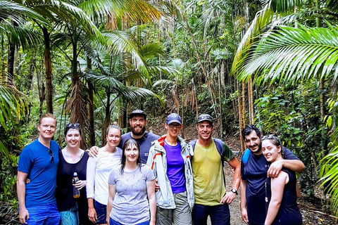Whitsundays Tropical Rainforest, Waterfalls And Airlie Beach Eco Experience - Accommodation Mooloolaba 15