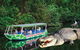 Daintree River Cruise - thumb 0
