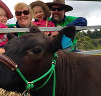 Mackay's Day in the Clouds Paddock to Plate Tour - Accommodation Mooloolaba