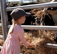 Mackay Farm Food and Flavours Tour - Accommodation Mooloolaba