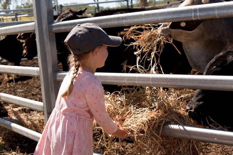 Mackay Farm Food And Flavours Tour - Accommodation Mooloolaba 0