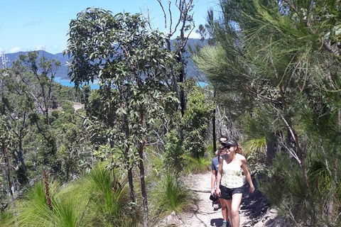 Scenic Guided Walk Up Mt Rooper For Best Whitsunday Views From Airlie Beach - Accommodation Mooloolaba 1