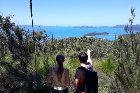 Scenic Guided Walk Up Mt Rooper For Best Whitsunday Views From Airlie Beach - Accommodation Mooloolaba 0