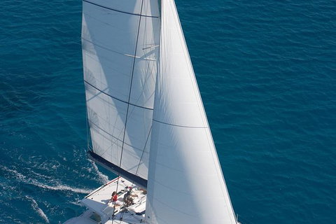 Afternoon Low Isles Snorkeling And Sailing Cruise From Port Douglas - Accommodation Mooloolaba 1