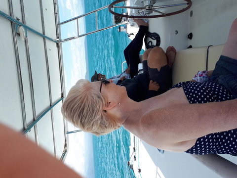Afternoon Low Isles Snorkeling And Sailing Cruise From Port Douglas - Accommodation Mooloolaba 8