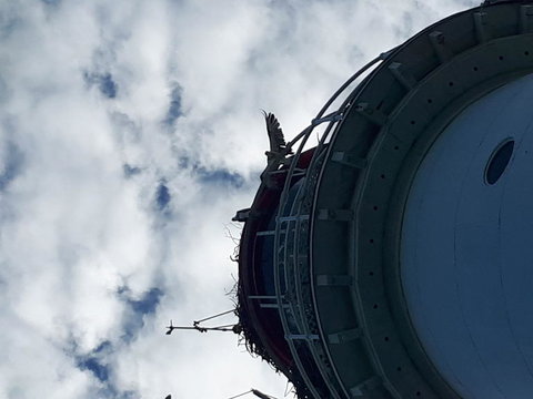 Afternoon Low Isles Snorkeling And Sailing Cruise From Port Douglas - Accommodation Mooloolaba 3