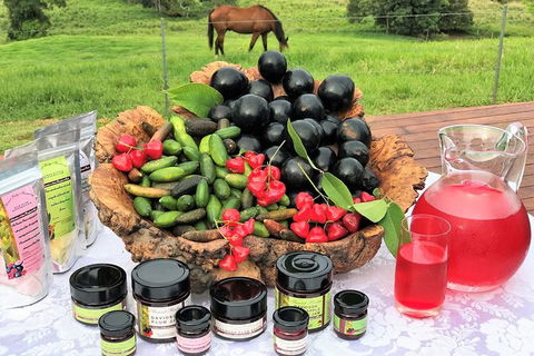 Atherton Tablelands Small-Group Food & Wine Tasting Tour From Port Douglas - Accommodation Mooloolaba 12