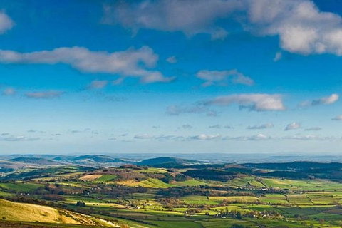 Atherton Tablelands Small-Group Food & Wine Tasting Tour From Port Douglas - Accommodation Mooloolaba 20