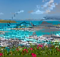 Three Island Guided Tour - Accommodation Mooloolaba