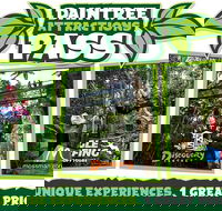 Daintree Atttractions Pass The Best of the Daintree in a Day - Accommodation Mooloolaba