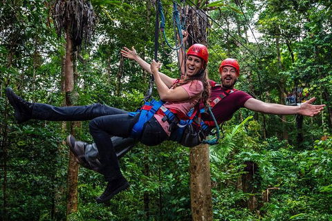 Daintree Atttractions Pass: The Best Of The Daintree In A Day - Accommodation Mooloolaba 1