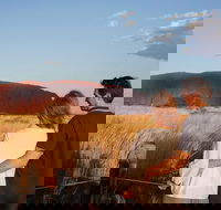 Uluru Ayers Rock Sunset with Outback Barbecue Dinner and Star Tour - Accommodation Mooloolaba
