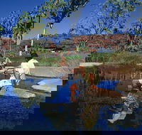 Palm Valley 4WD Tour - Accommodation Mooloolaba