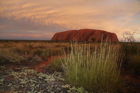 Coach Transfer From Kings Canyon Resort To Ayers Rock Resort - Accommodation Mooloolaba 7